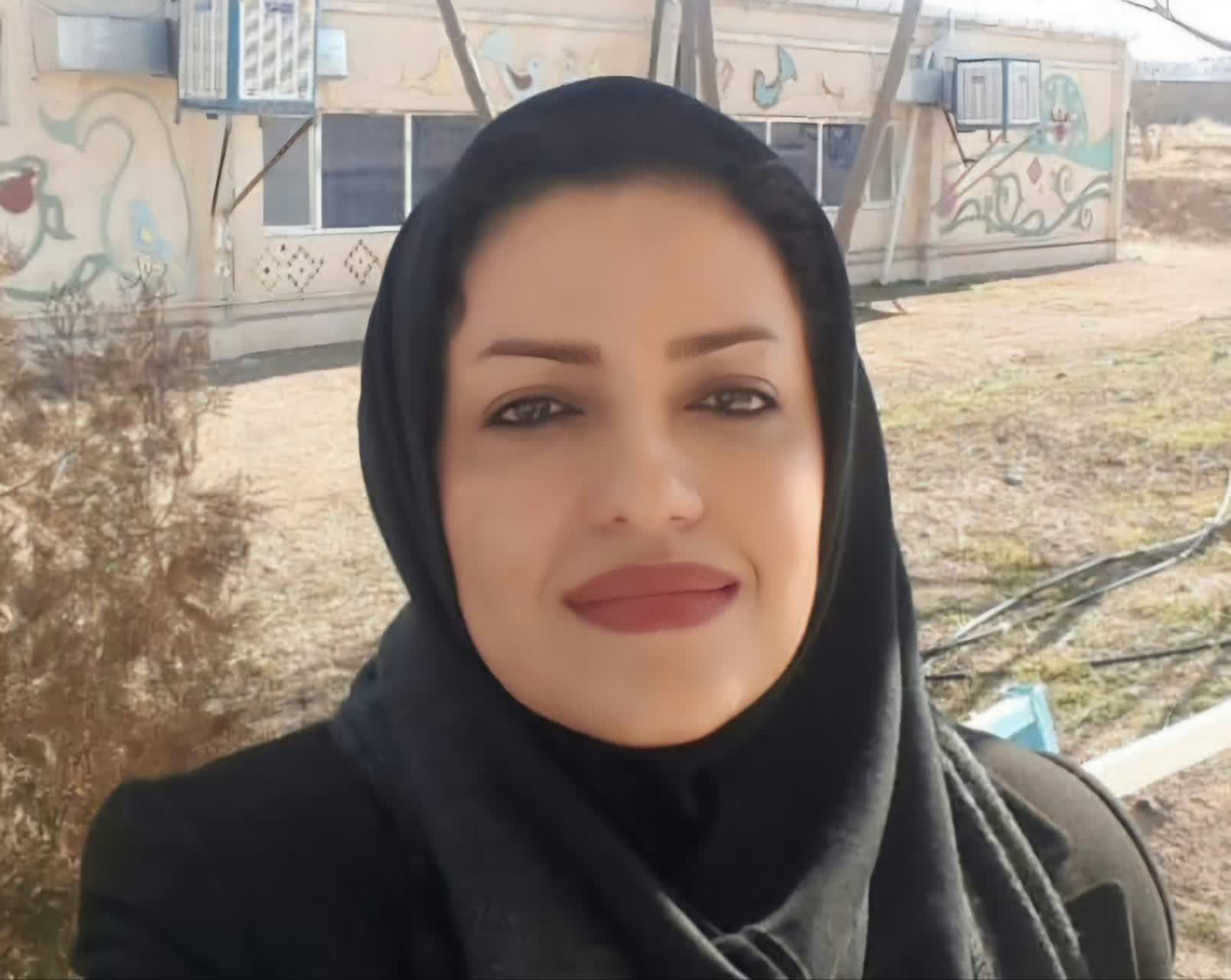 پایداری در مد