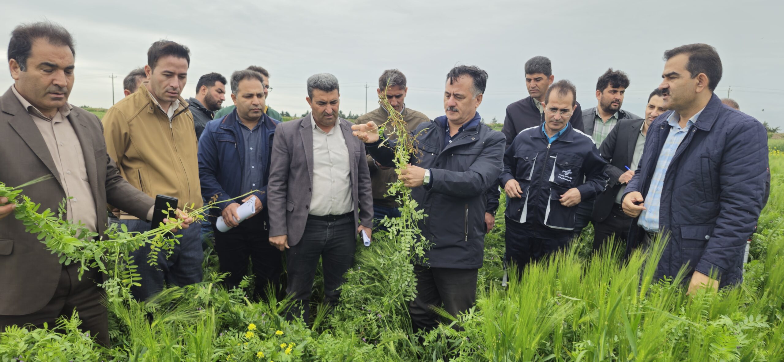 بررسی تخصصی آخرین وضعیت گندم، کلزای، ماشک علوفه ای شرکت ملی پارس با حضور مدیر عامل شرکت