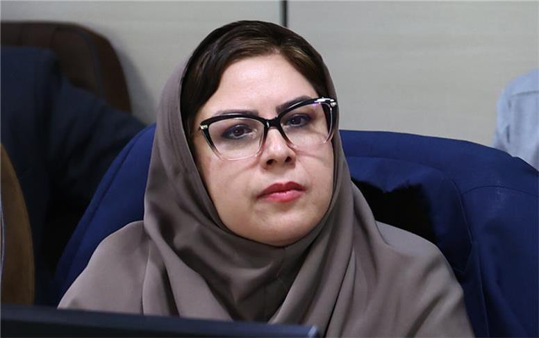 دبیر رویداد نیسینو: مهلت ثبت ایده‌ها در رویداد «ایده‌های نوآورانه و فناورانه در زنجیره ارزش مس» تا ۶ آذر تمدید شد